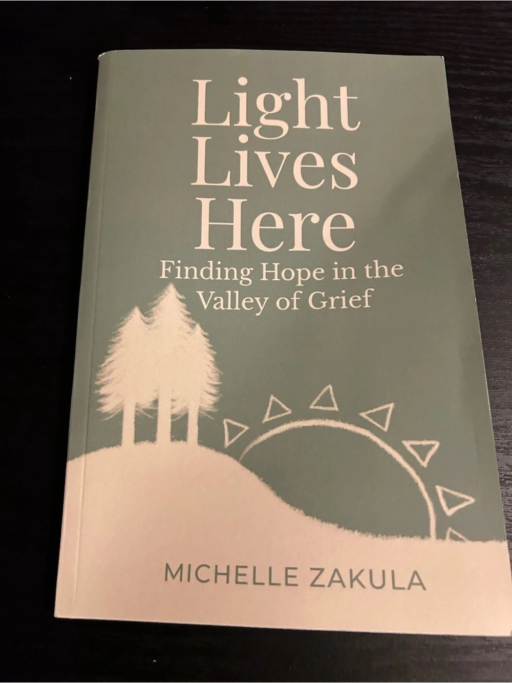 Michelle Zakula Light Lives Here: Finding Hope in the Valley of Grief